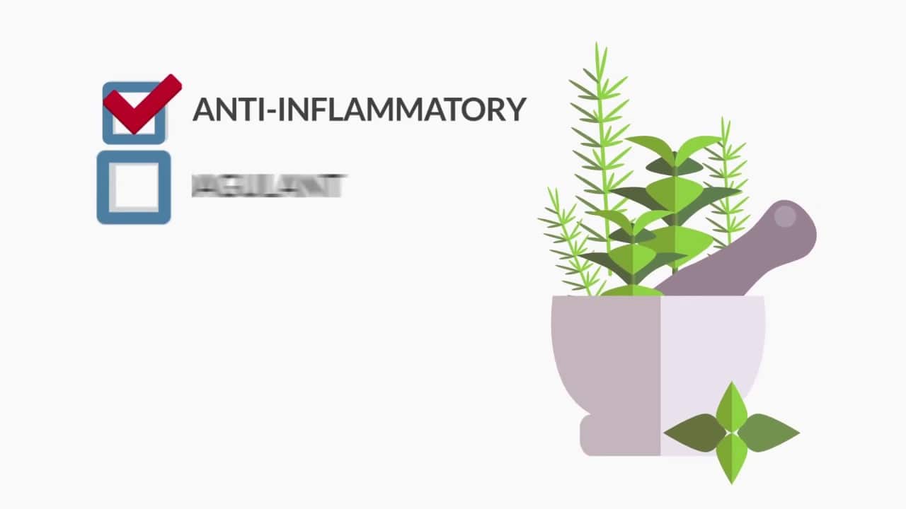 Herbal Medicine Charlotte Acupuncture and Wellness Center